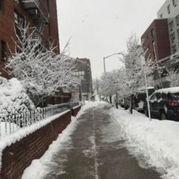 Profile Picture of Robbya Totine (@robbyatotine) on Poshmark