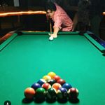 Profile Picture of Will Drubner (@whdproductions) on Instagram