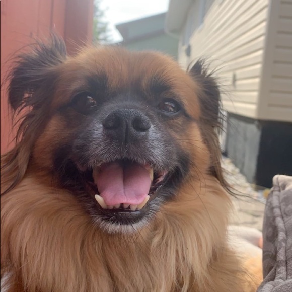 Profile Picture of Tristan Sharp (@tristansh4rp) on Poshmark