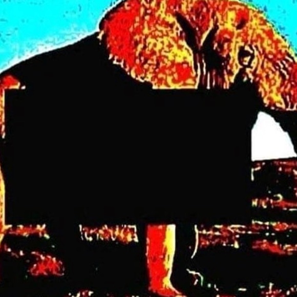 Profile Picture of Jonah Strebel (@ding_bong_dong) on Poshmark