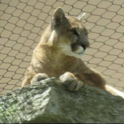 Profile Picture of Jason Mullikin (@Jwmullikin) on Twitter