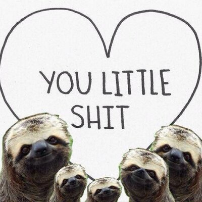 Profile Picture of Colton Garryon Twitter