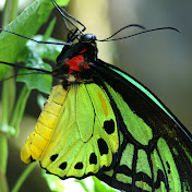 Profile Picture of Doug Jackson (@dougjackson1308) on Youtube