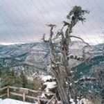 Profile Picture of Inger Koerber (@yunatoelle604) on Instagram