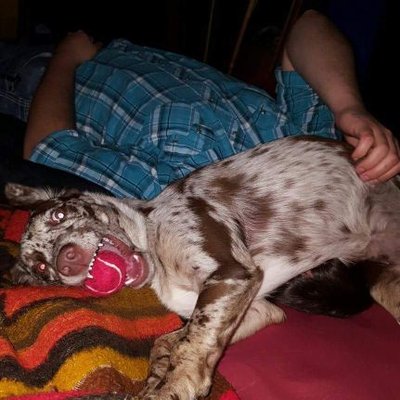 Profile Picture of Stephen Pool (@imessedwith_tx) on Twitter