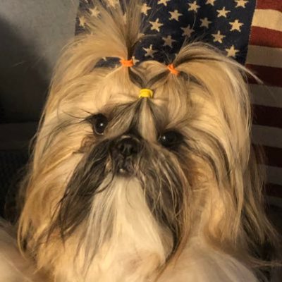 Profile Picture of Cindy America Stuckey (@AmericaStuckey) on Twitter