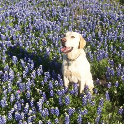Profile Picture of Dave Joyner (@daveyj13) on Twitter