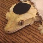 Mark Osborn - Instagram Profile Picture of Mark Osborn (@marc.us276) on Instagram