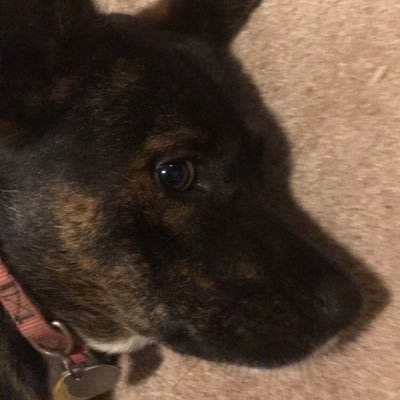 Tyler VanWinkle - Twitter Profile Picture of Tyler VanWinkle (@TylerVanWinkle7) on Twitter