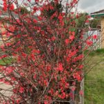 Profile Picture of Sarah Scudder (@sarah.scudder.503) on Instagram