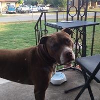 Profile Picture of Chris Veal (@chris-veal-5) on Quora