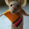 Profile Picture of pedro (@pedrocalvo19) on Tiktok