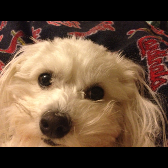 Profile Picture of Lisa Jerden (@lajerden) on Poshmark