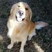 Profile Picture of Kerri Postell (@KLPostell) on Pinterest