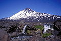 Profile Picture of Laguna del Laja National Parkon Wikipedia