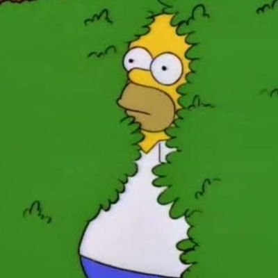 Profile Picture of Bryan Guedes (@BryanGuedes8) on Twitter