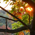 Profile Picture of Jason Robicheau (@perfectphotophotography) on Instagram