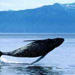 Profile Picture of Joseph Budd (@fuck_u_nibba) on Instagram