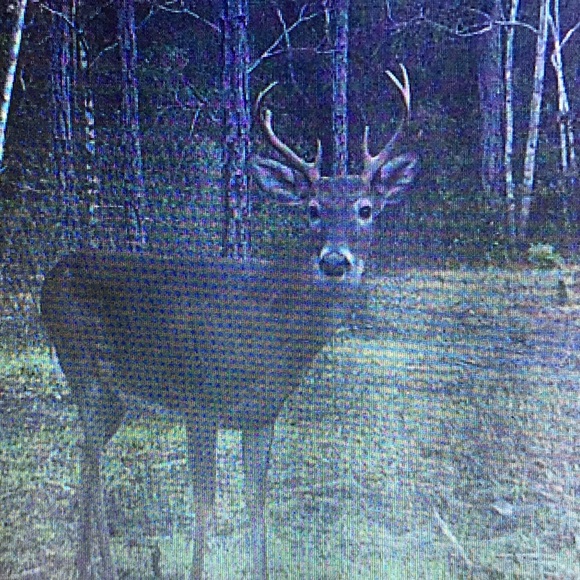 Profile Picture of Andrew Lowe (@abl52) on Poshmark