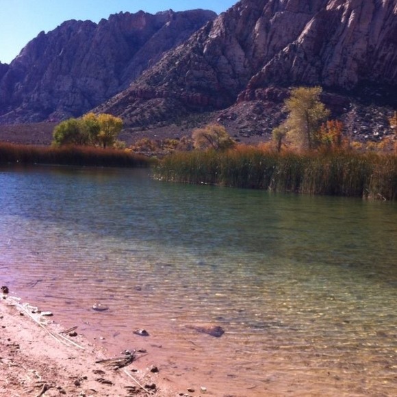 Profile Picture of Jeannette Boozer (@cmboozer) on Poshmark