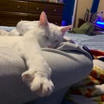 Profile Picture of Rayne Haskell (@rayne.haskell.1) on Facebook