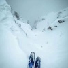 Profile Picture of Daniel Collucci (@@danielcollucci) on Tiktok