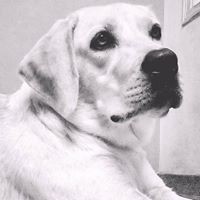 Profile Picture of Deepthi Shetty (@deepthi-shetty-43) on Quora