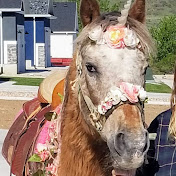 Profile Picture of Julia Taylor (@JuliaTaylor-st7tm) on Youtube