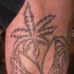 Profile Picture of Craig Crocker (The medical smoke dispensery) (@craig.crocker) on Facebook