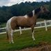 Profile Picture of Lori Franklin (@lori.franklin.524) on Facebook