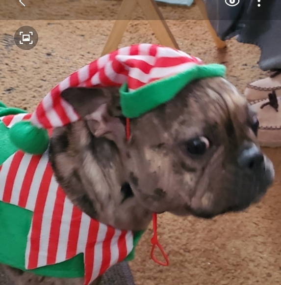 Profile Picture of James Cox (@jimc_62) on Poshmark