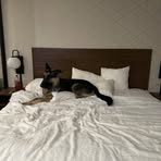 Profile Picture of Travis Wright (@travis.wright.515000) on Facebook