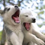 julianna bishop - Instagram Profile Picture of julianna bishop (@juliannapierce566) on Instagram