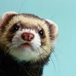 Profile Picture of Jack Rabenstein (@jackrabenstein2004) on Instagram