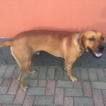 Profile Picture of Volante Steenkamp (@volantesteenkamp) on Instagram