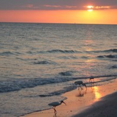 Profile Picture of Sherri E. Dedloff (@SherriElaine54) on Twitter