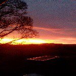 Profile Picture of Rose & Dave (@rosedave67) on Instagram