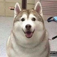 Profile Picture of Jacob Sheridan (@jacob-sheridan-3) on Quora