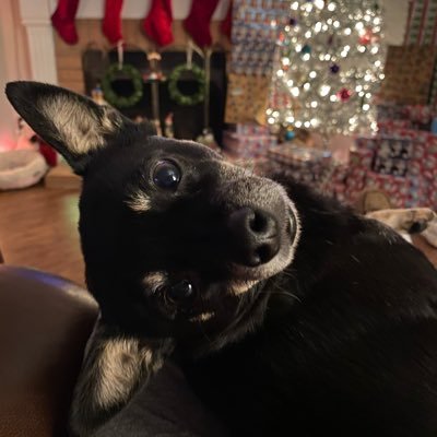 Profile Picture of Michelle (@MickySerr6674) on Twitter