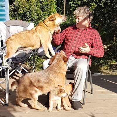 Profile Picture of Steve Hearne (@stevehearne7) on Twitter