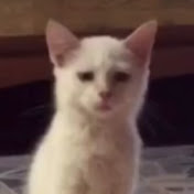 Profile Picture of Pakpoom Jarassangmongkol (@pakpoomjarassangmongkol5643) on Youtube