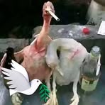 Profile Picture of Allan Andrew (@Allan-Andrew) on Facebook