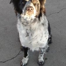 Profile Picture of Wade Hunt (@wadedizzle3490) on Twitter