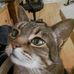 Profile Picture of Maureen Painter (@maureen.painter.355) on Facebook