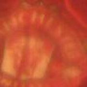 Profile Picture of Shiloh Francis (@shiloh.francis.5) on Facebook