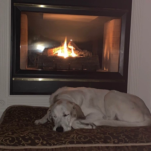 Profile Picture of Debra Ross-olson (@daro2) on Poshmark