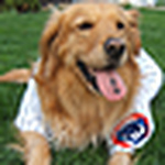 Profile Picture of Danny Brown (@mobay85) on Flickr