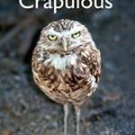 Profile Picture of Michael Schwartzman (@alken_9585__rory) on Instagram