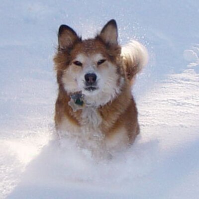 Jerry A Wyatt - Twitter Profile Picture of Jerry A Wyatt (@N7QVU) on Twitter