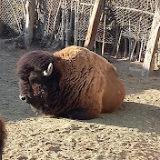 Profile Picture of Abner Ramirez (@abnerramirez9085) on Youtube